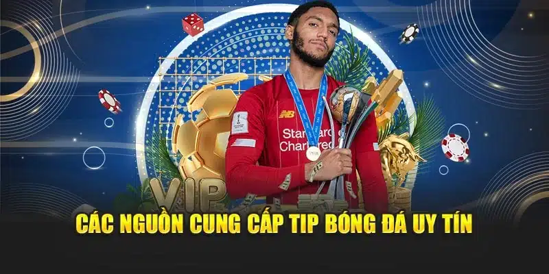 Các nguồn cung cấp tip bóng đá uy tín