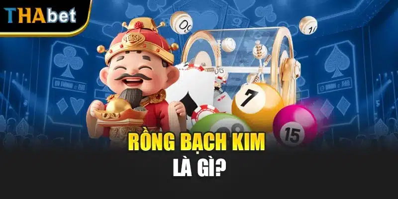 Rồng bạch kim là gì