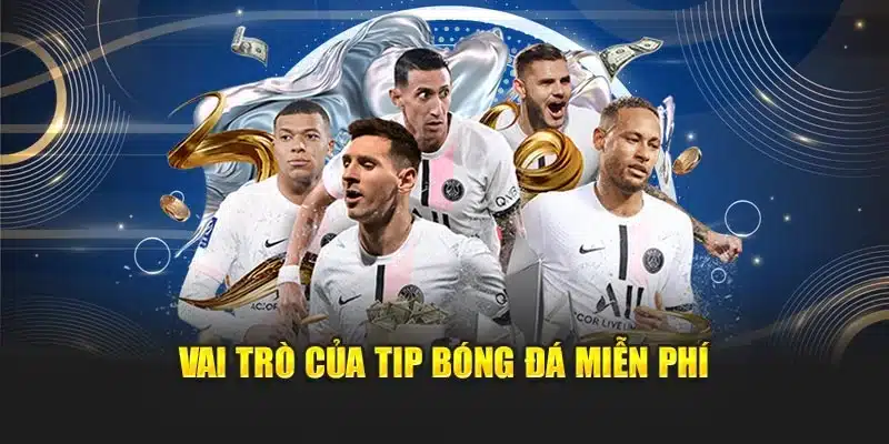 Vai trò quan trọng của tip bóng đá miễn phí