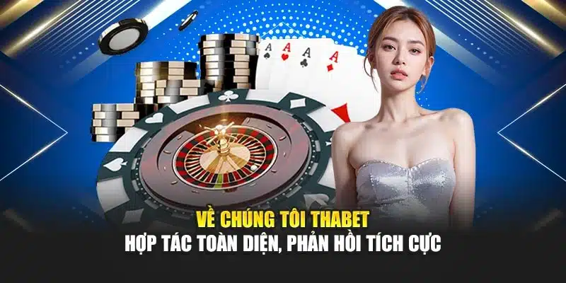 Về chúng tôi Thabet – Hợp tác toàn diện, phản hồi tích cực